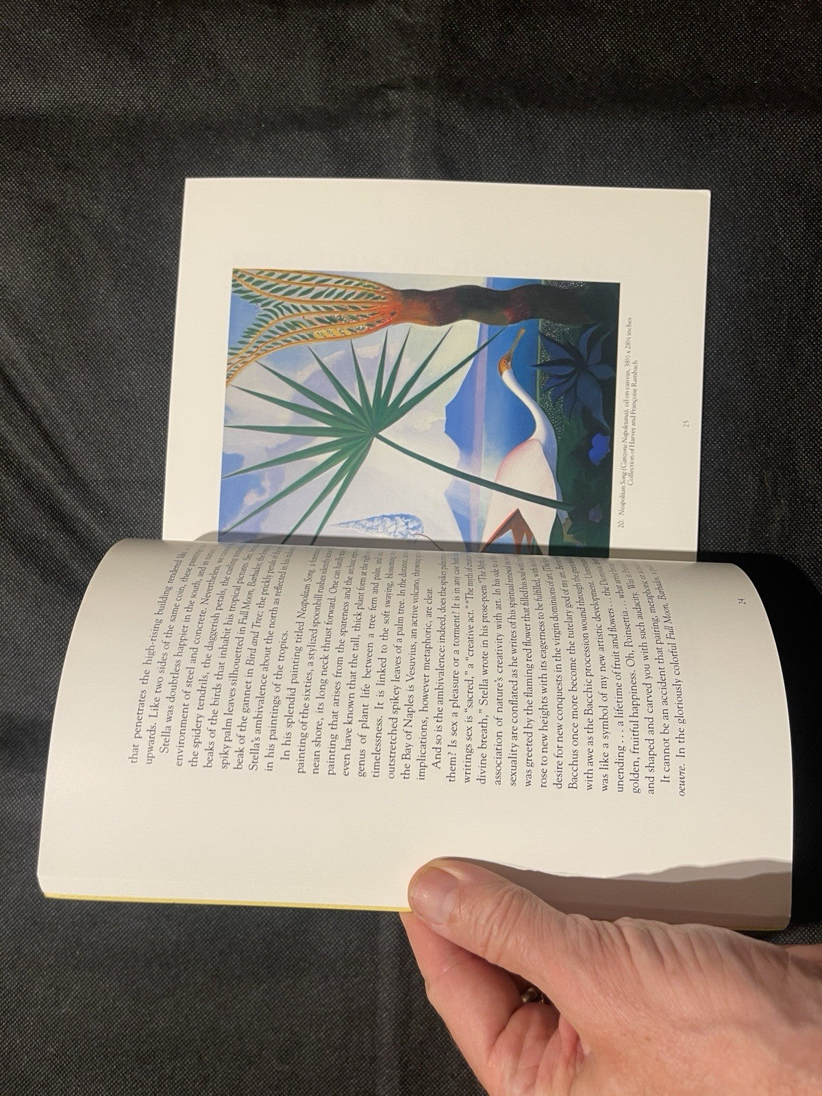 Joseph Stella: The Tropics by Ilene Susan Fort, 1988 PB Illustrated Catalog