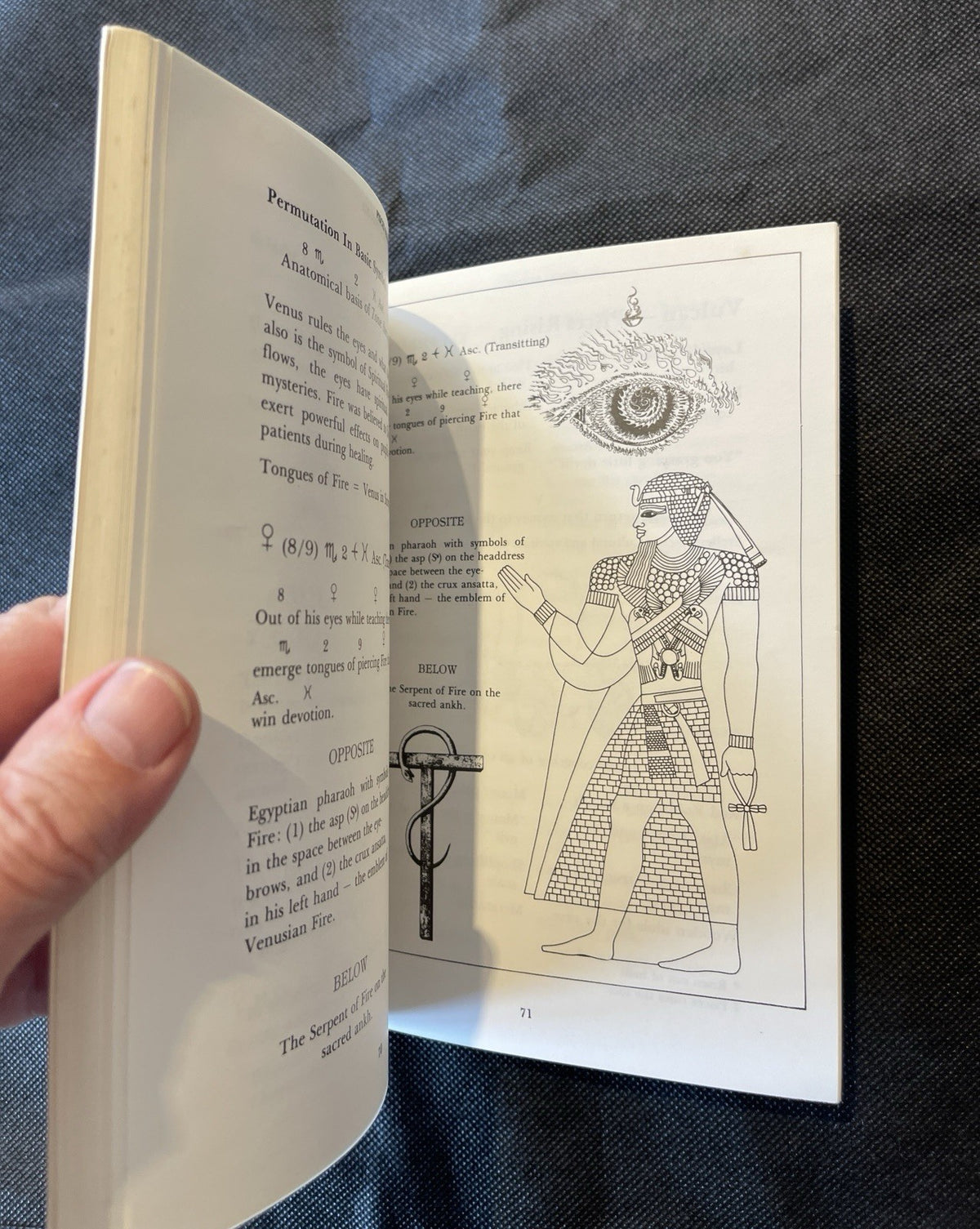 Pisces Rising (In Detail) by Dr. Douglas M. Baker Astrology PB 1981 Illus