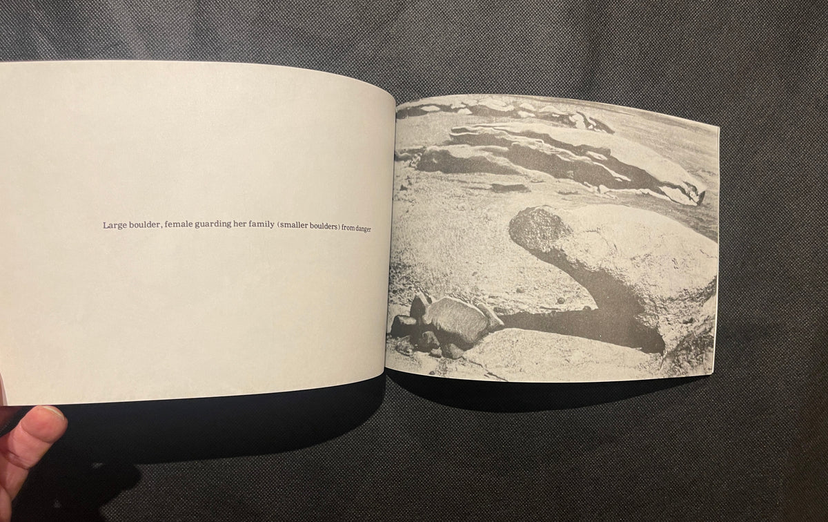 Ulay / Marina Abramović – Two Performances and DETOUR (Experimental Art Foundation, Adelaide, 1979)