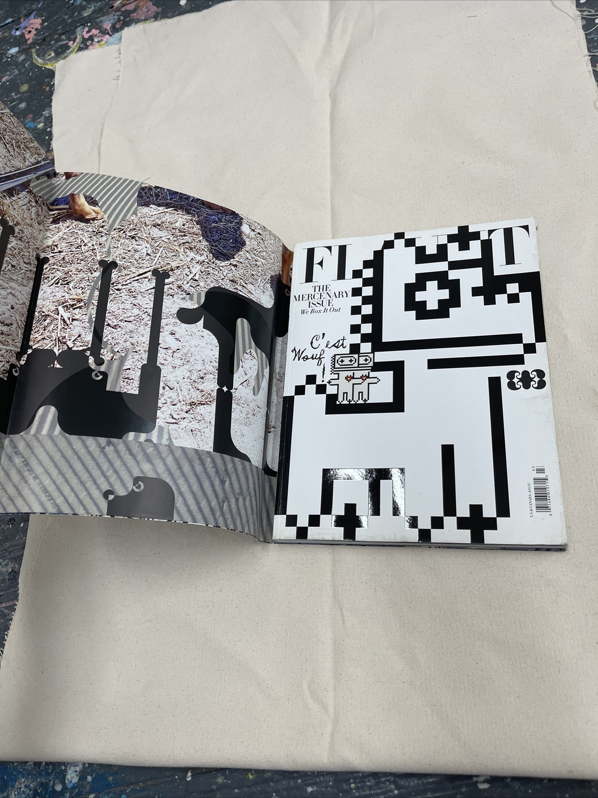 FLAUNT MAGAZINE ISSUE NO. 126 - RARE ! THE mercenary Issue Zac Efron