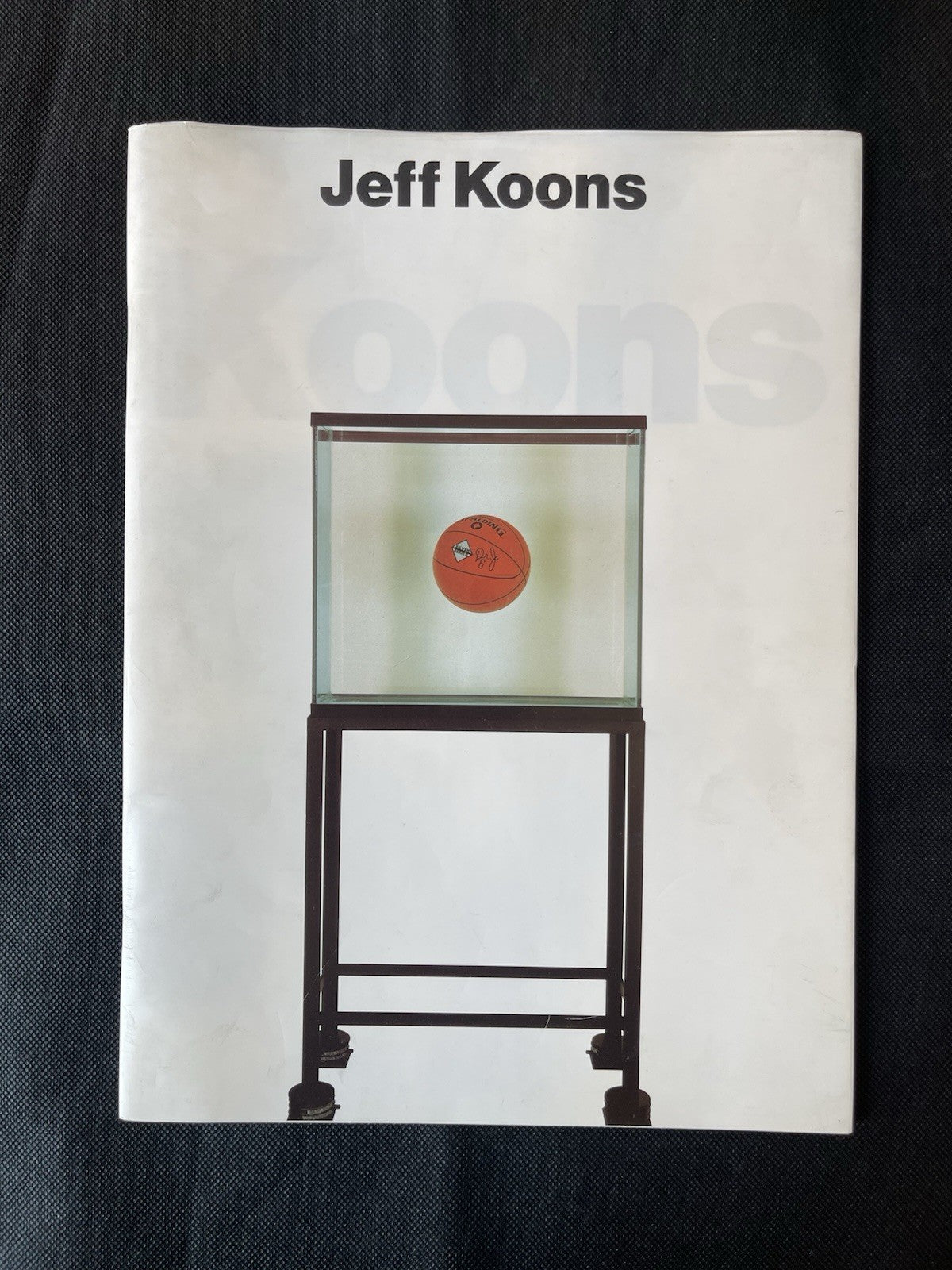 Jeff Koons Museum Of Contemporary Art Chicago 1st Ed 1988