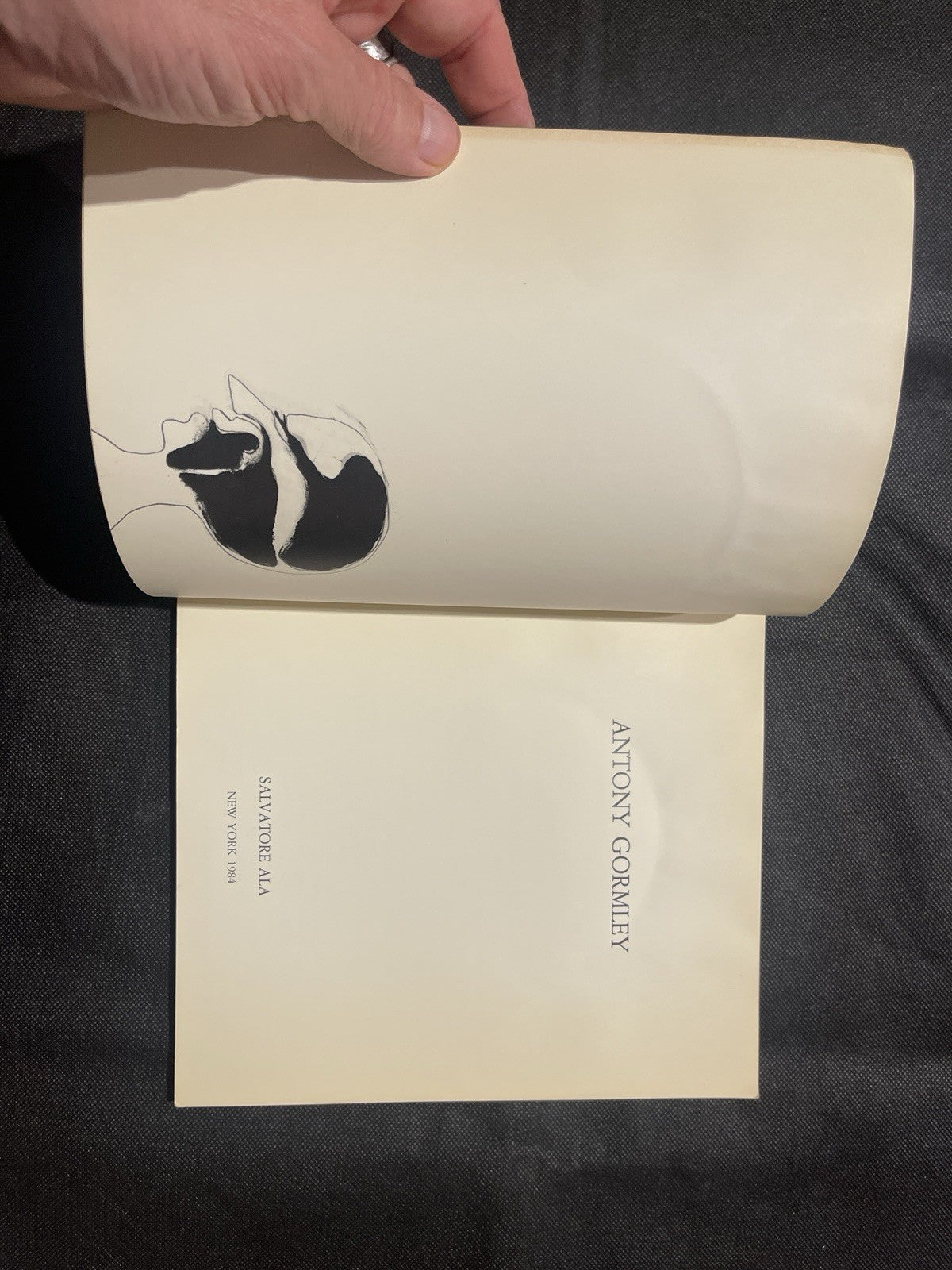 Antony Gormley Antony Gormley HC Limited Edition Illustrated Salvatore Ala 1984