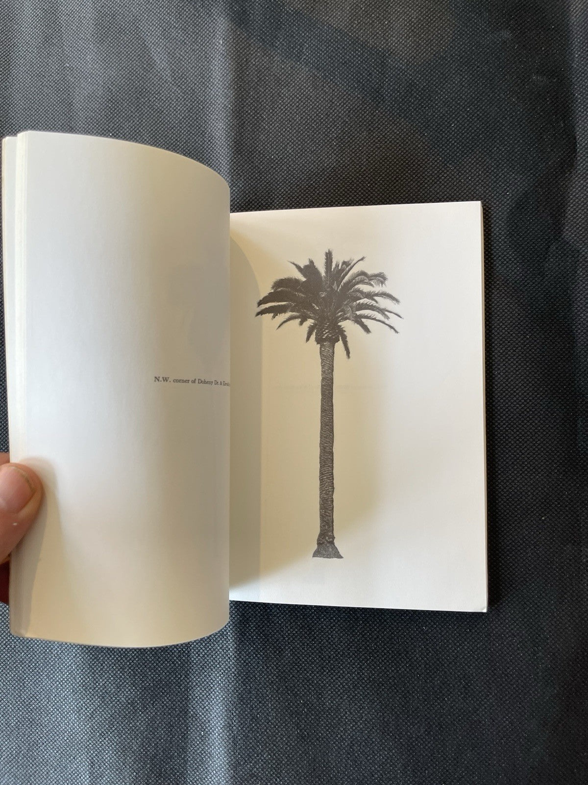 Ed Ruscha – A Few Palm Trees (1971) – 1st Ed– Heavy Industry Publications