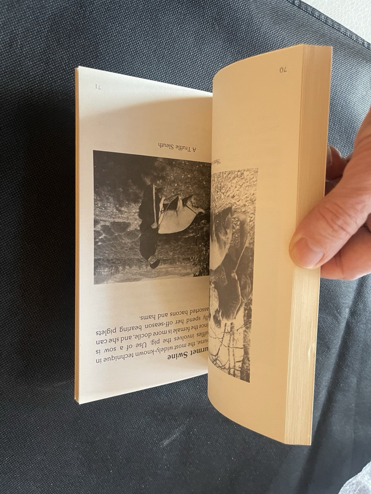 Truffle: The Black Diamond  By F. Picart  RARE! 1st Ed 1980 VG+