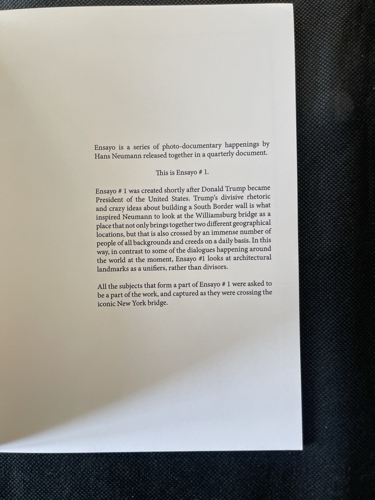 Hans Neumann -Ensayo #1 Ed #48/100 -The Fucking Trump Wall That Never Happened