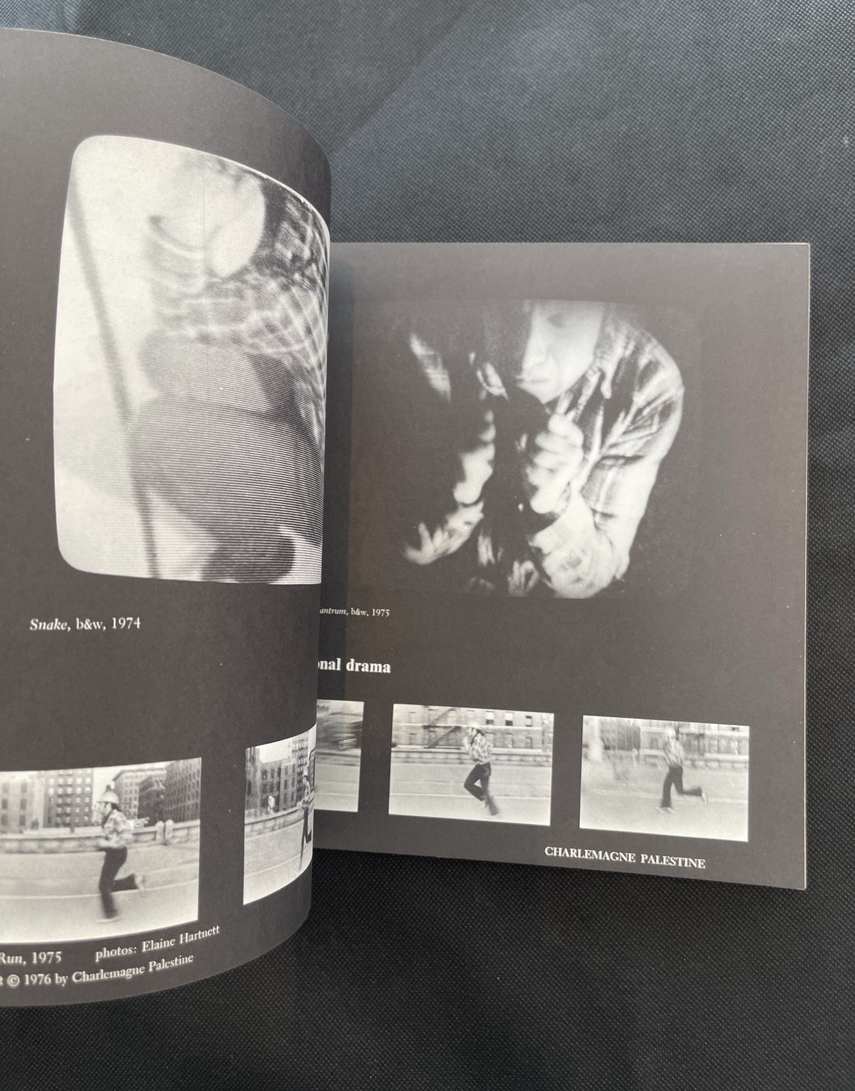 Ira Schneider, Beryl Korot / Video Art: An Anthology / First Edition / 1976