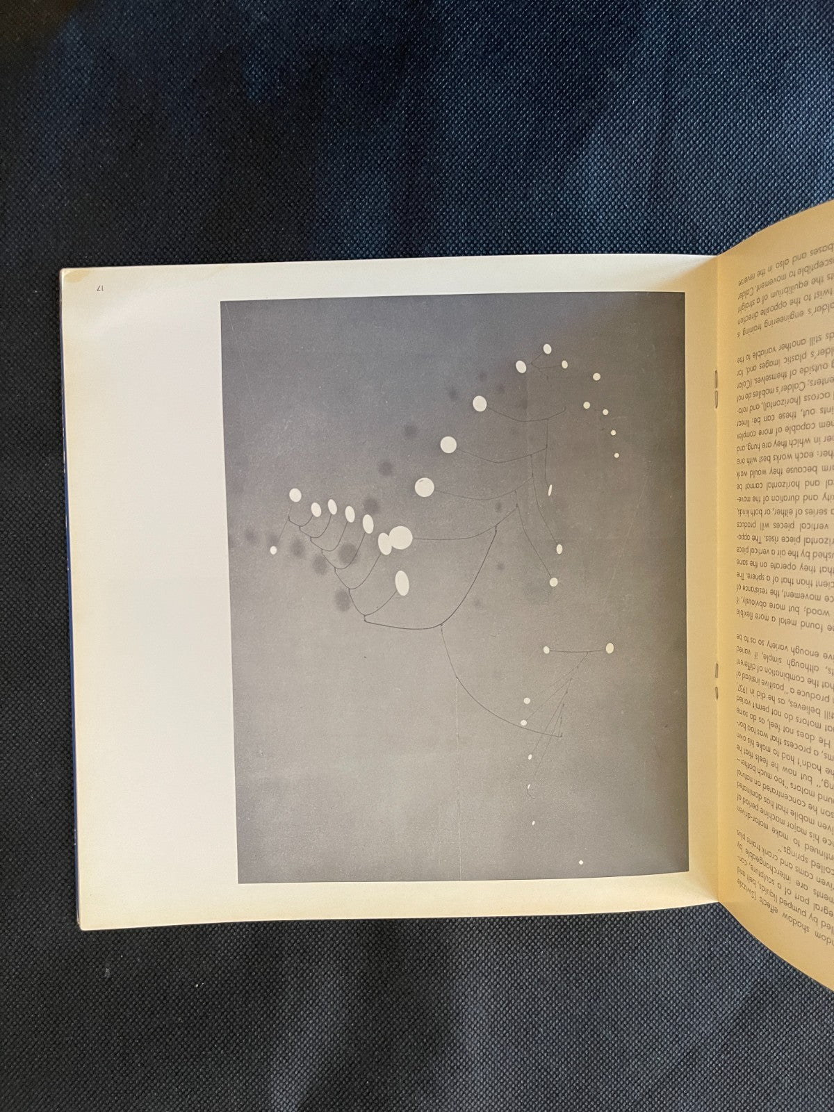 A Salute to Alexander Calder MOMA 1969 Bernice Ros