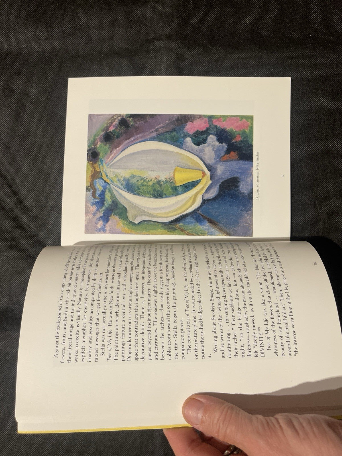 Joseph Stella: The Tropics by Ilene Susan Fort, 1988 PB Illustrated Catalog