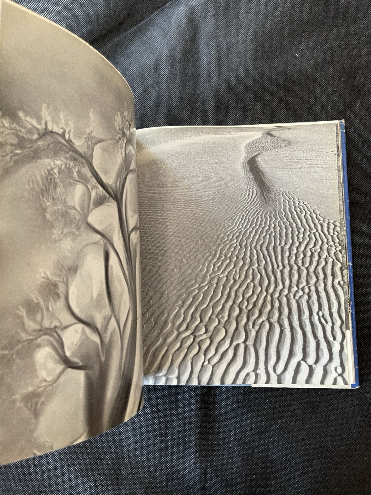 Theodor Schwenk Sensitive Chaos HC Illustrated Signed/Personalized London 1965