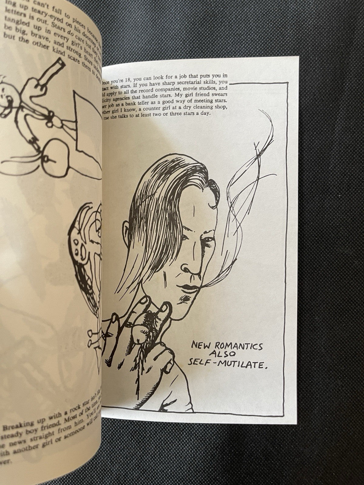 Raymond Pettibon Zine New Wavy Gravy #320/500 Elvis