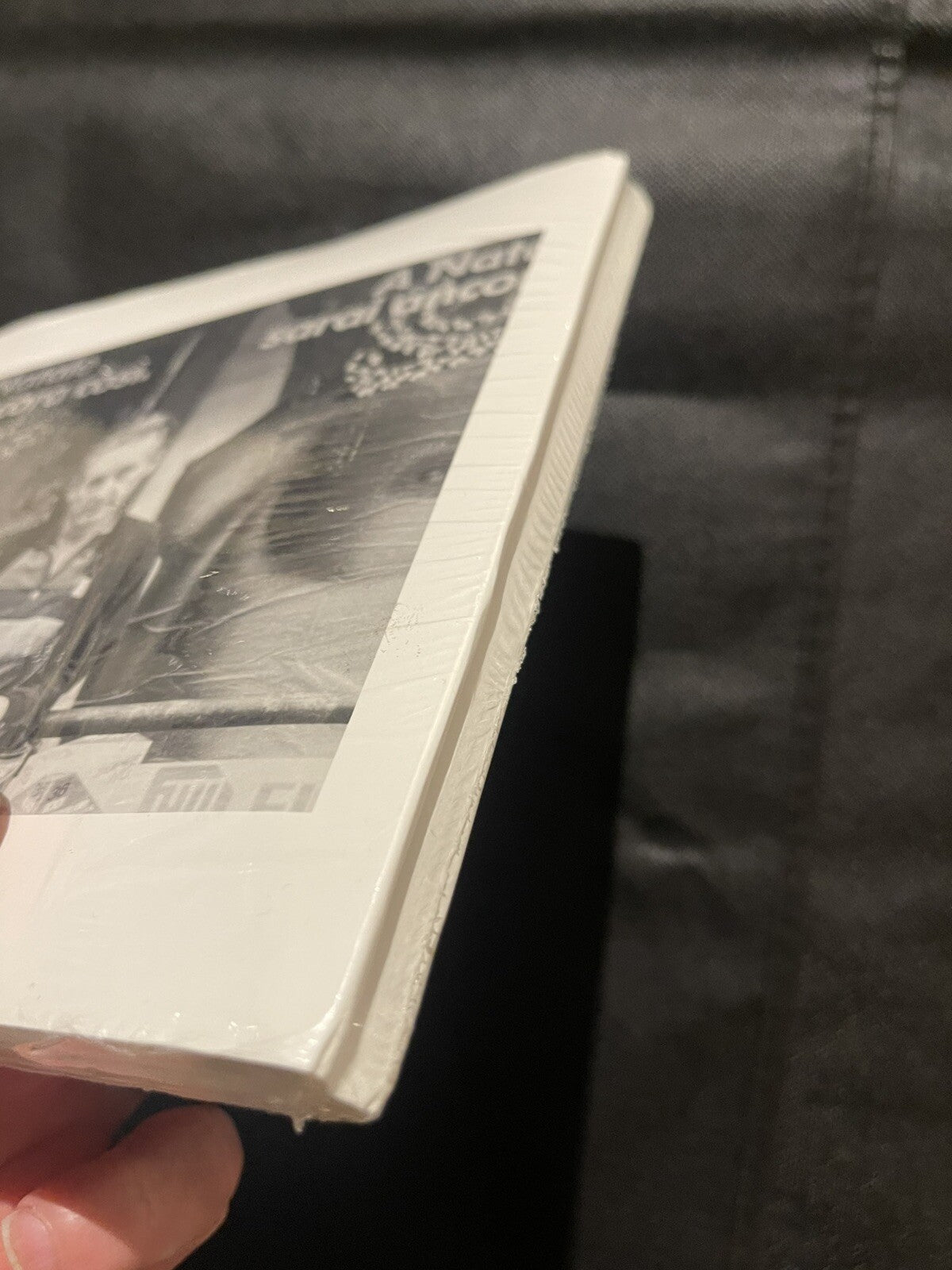 MOUNTAINS AND PORTRAITS - FIRST EDITION ED RUSCHA  / Anthony D'Offay