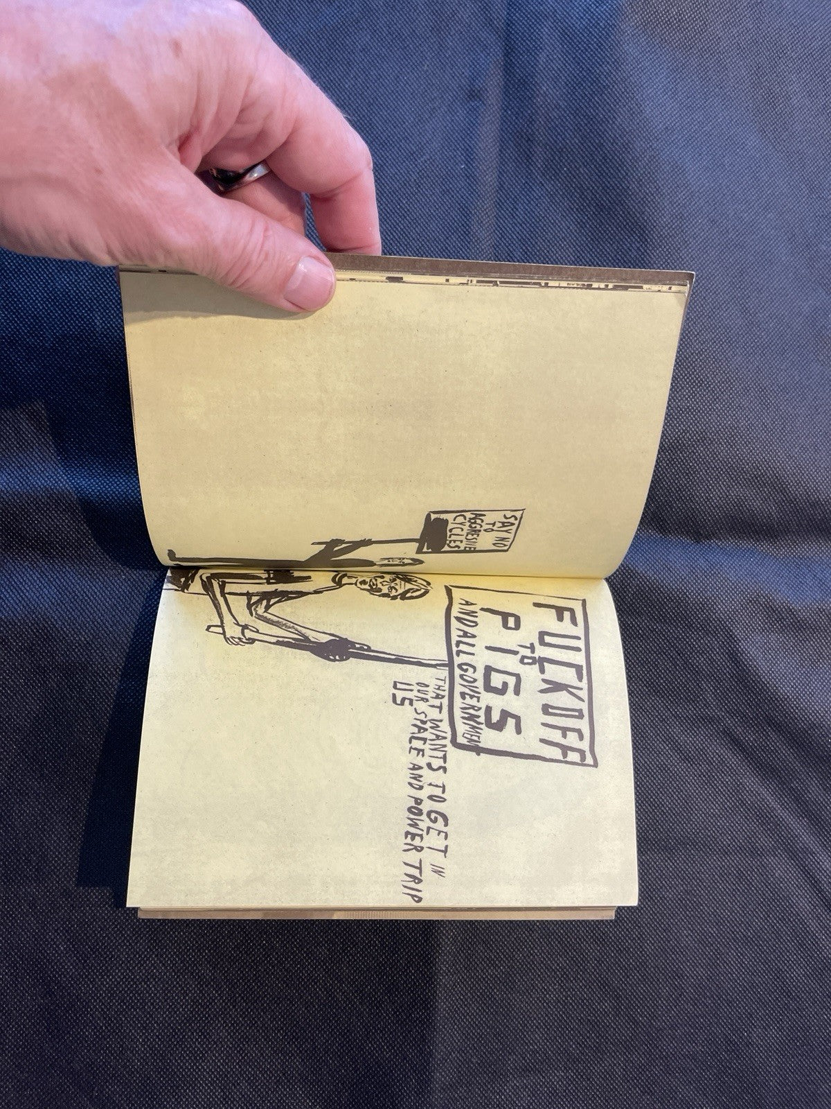 Historical Reenactment No. 1 Steve McMurray, illus. Chris Johanson, Ltd