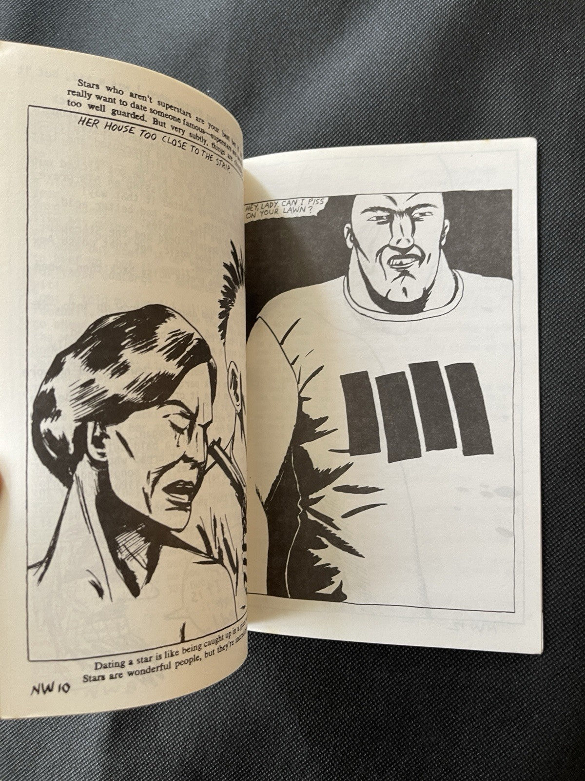 Raymond Pettibon Zine New Wavy Gravy #320/500 Elvis
