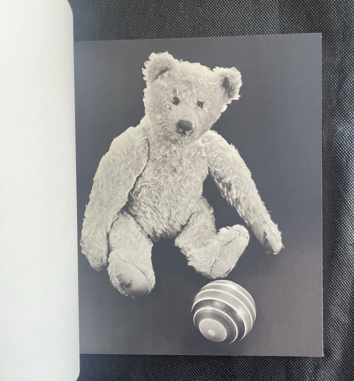 Calderone & Steichen & John Updike THE FIRST PICTURE BOOK RareSigned Ltd Ed 250