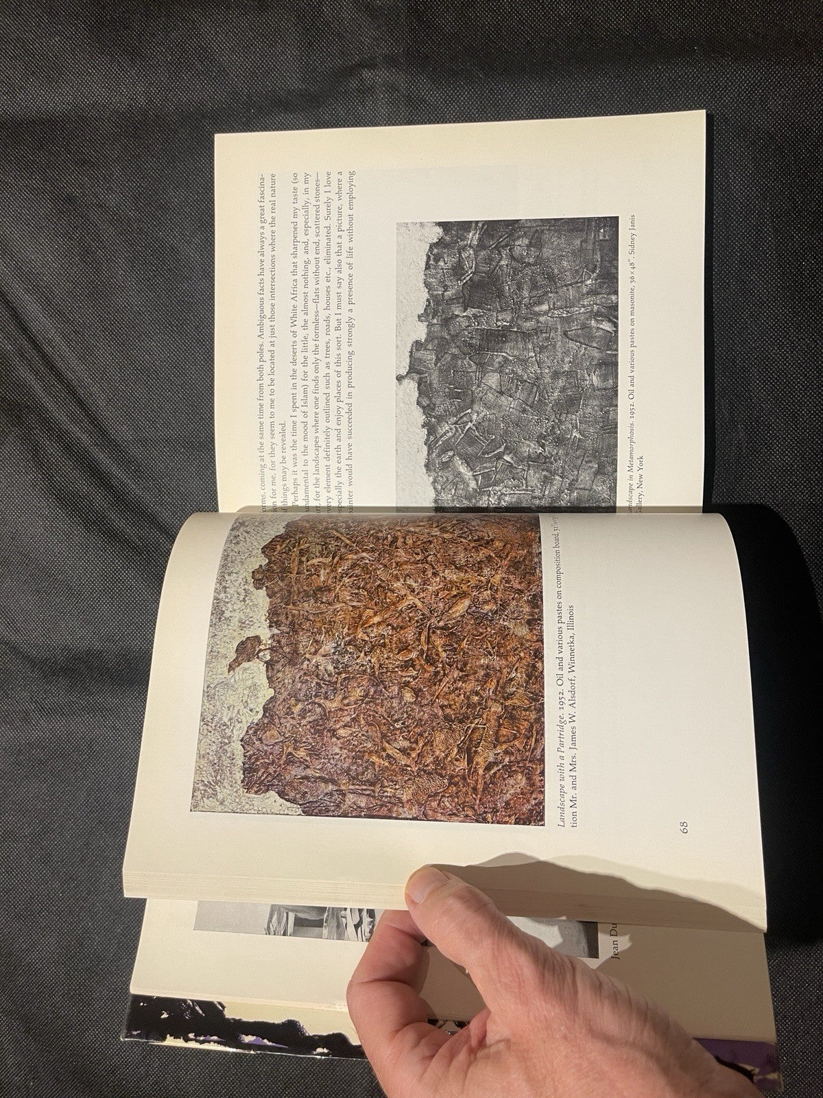 The Work of Jean Dubuffet by Jean Dubuffet Illustrated HC MoMA English
