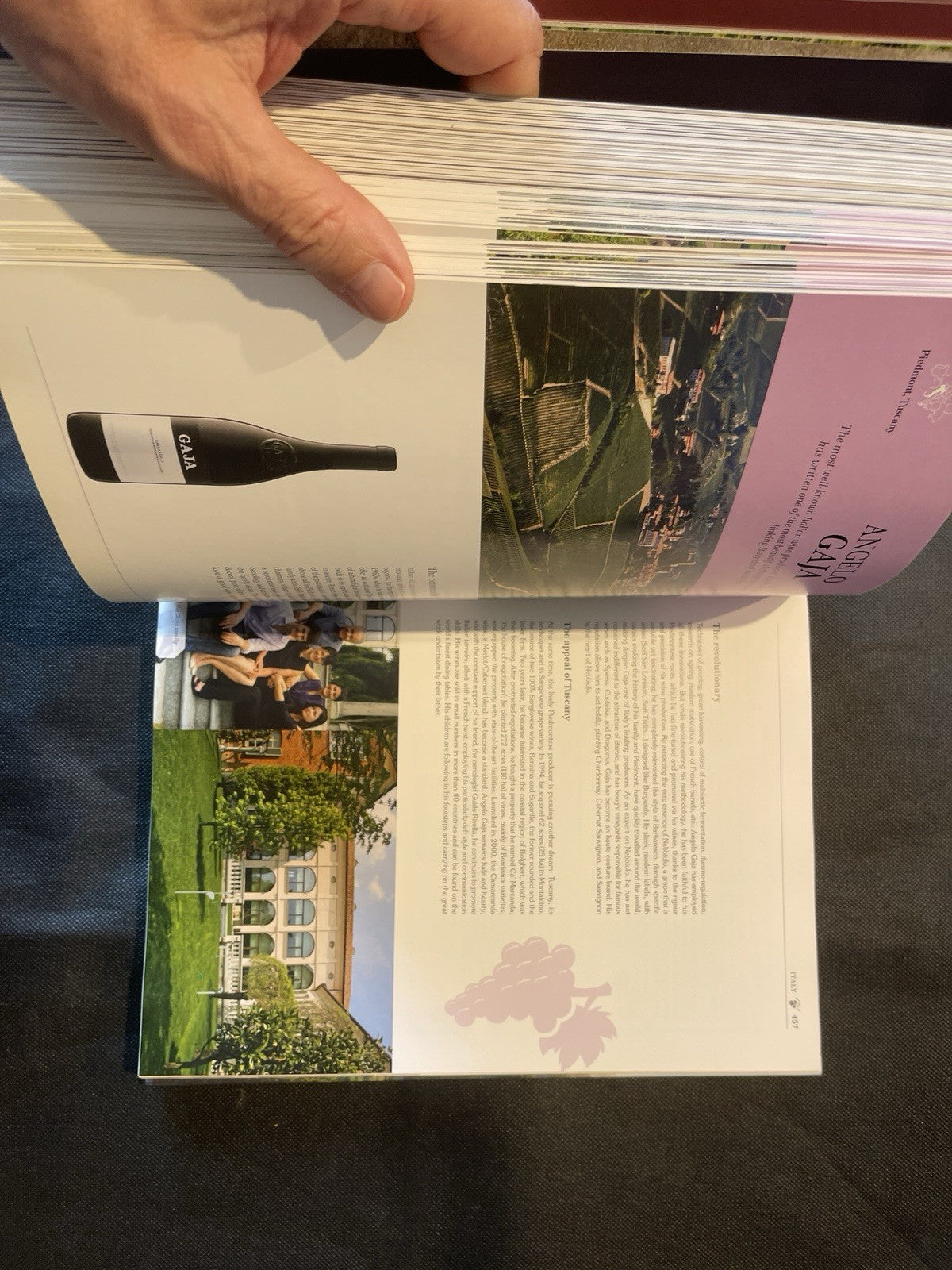 Hamlyn Larousse Wine Hardcover Illustrated by Olivier Poussier 2017