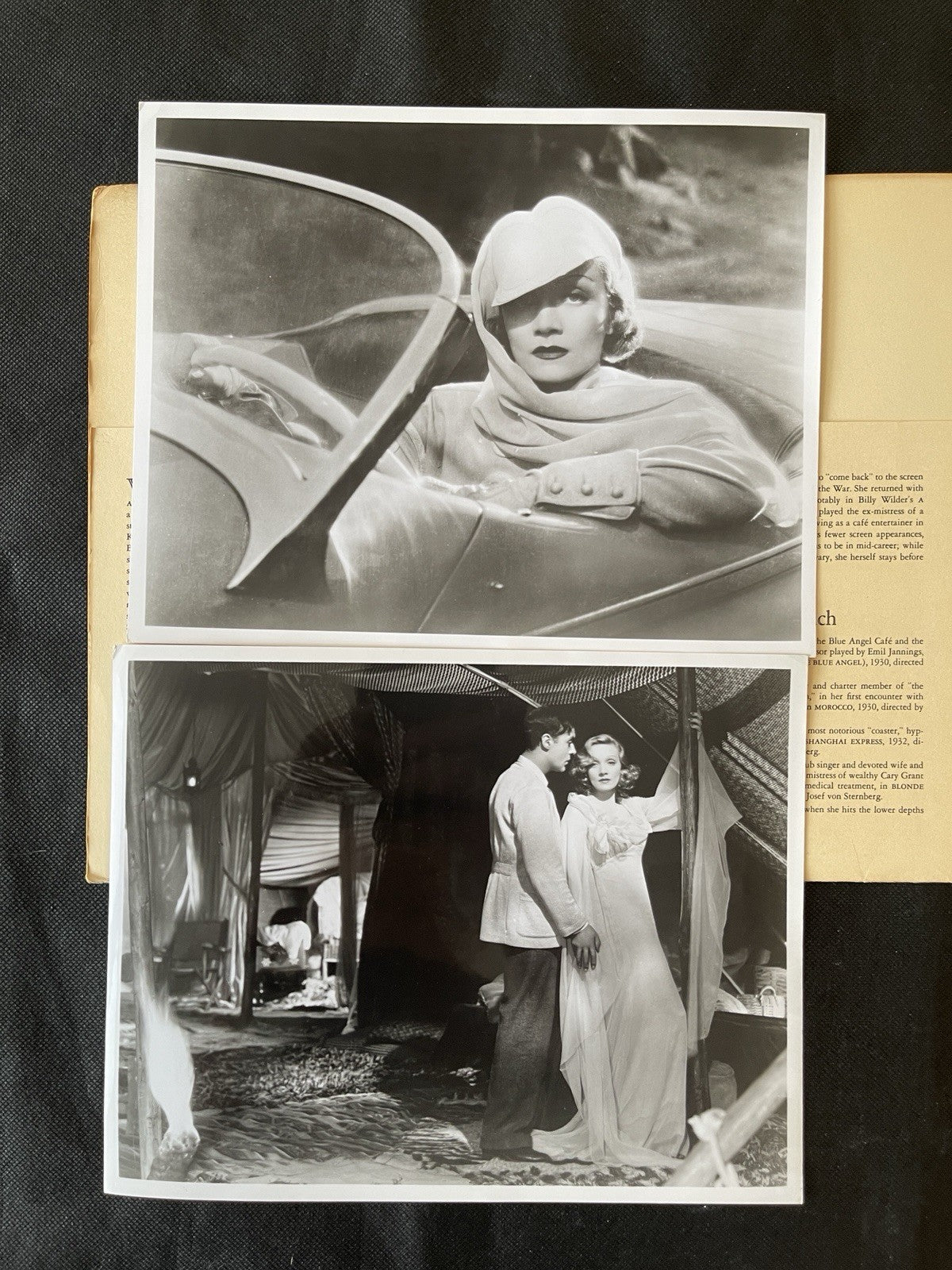 Marlene Dietrich – Ten Stills (1965) | MoMA Film Library Portfolio