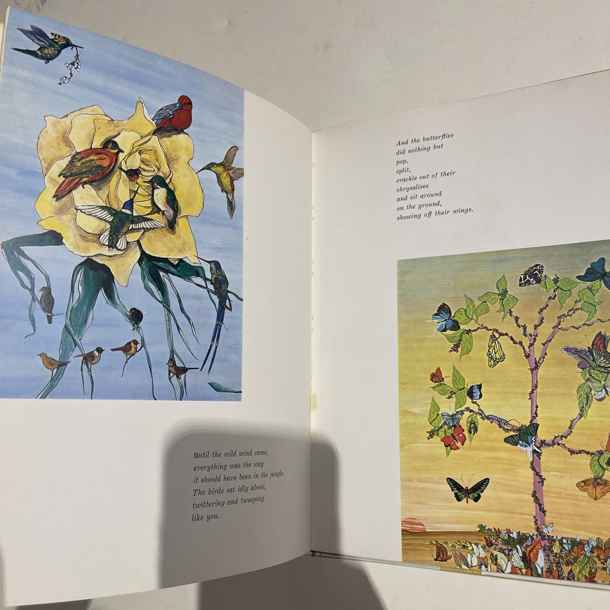 Tiger Flower by Robert Vavra: First Edition: Paintings by Fleur Cowles 1968 DJ