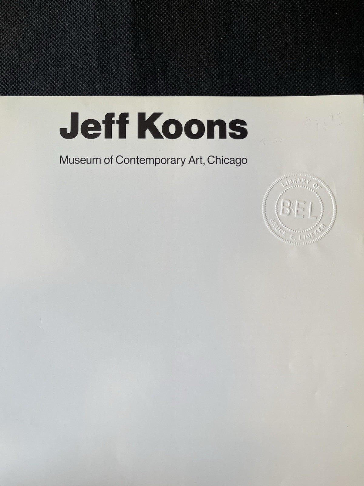 Jeff Koons Museum Of Contemporary Art Chicago 1st Ed 1988