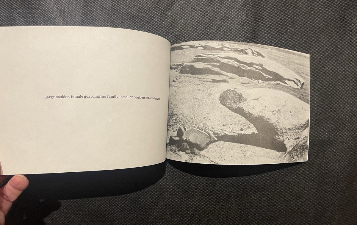 Ulay Marina Abramović Two Performances and Detour 1979 Catalog