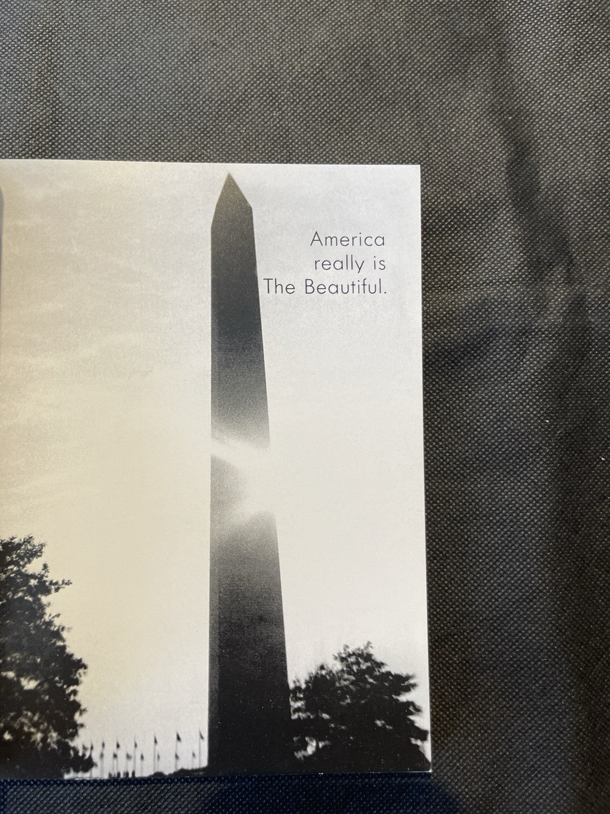 Andy Warhol America Trade Paperback 2015 Illustrated 1st Edition