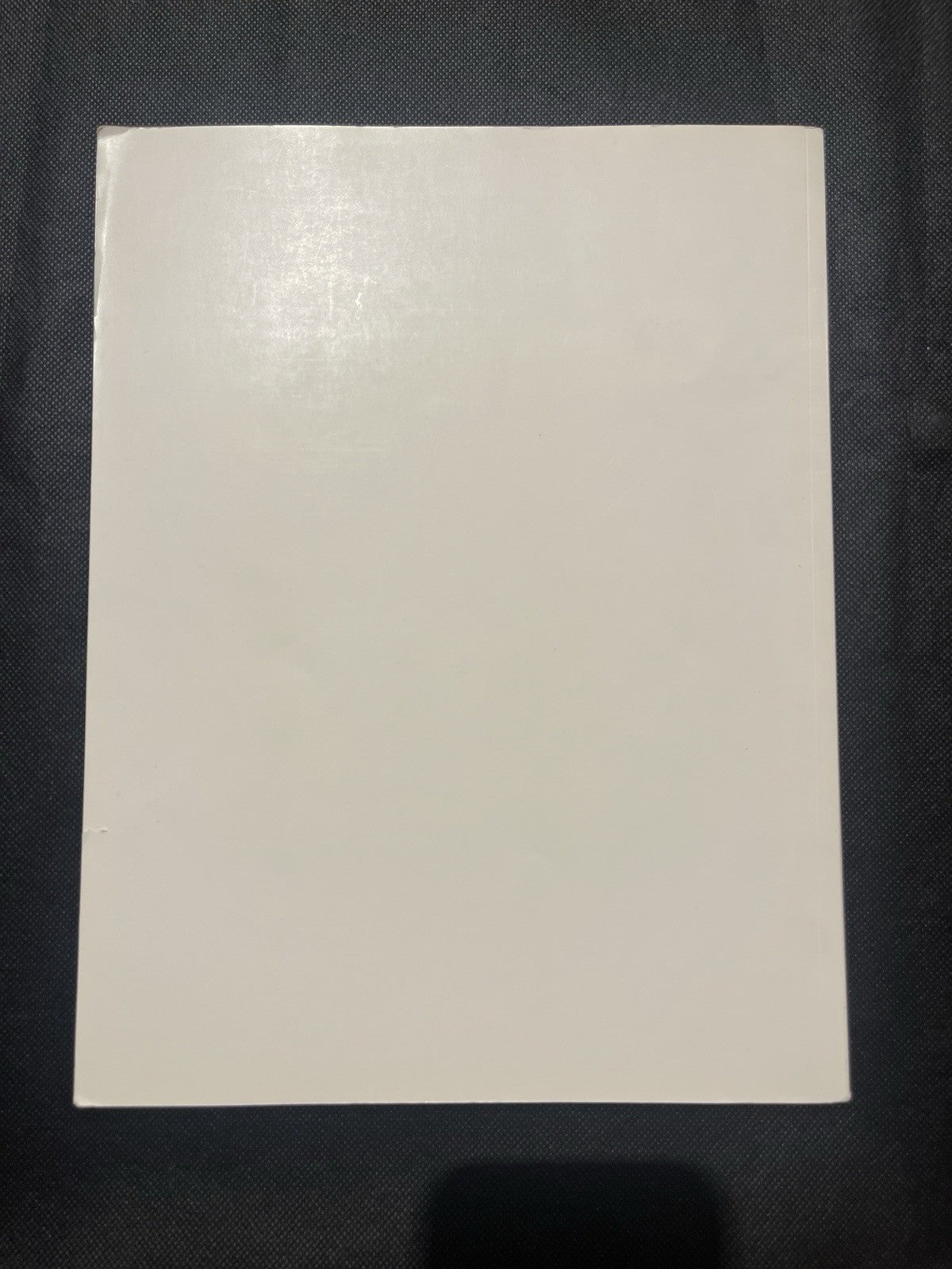 Leo Castelli Gallery Jasper Johns: The Seasons by David Whitney PB 1987 Illus