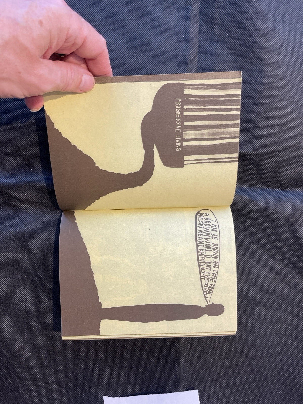 Historical Reenactment No. 1 Steve McMurray, illus. Chris Johanson, Ltd