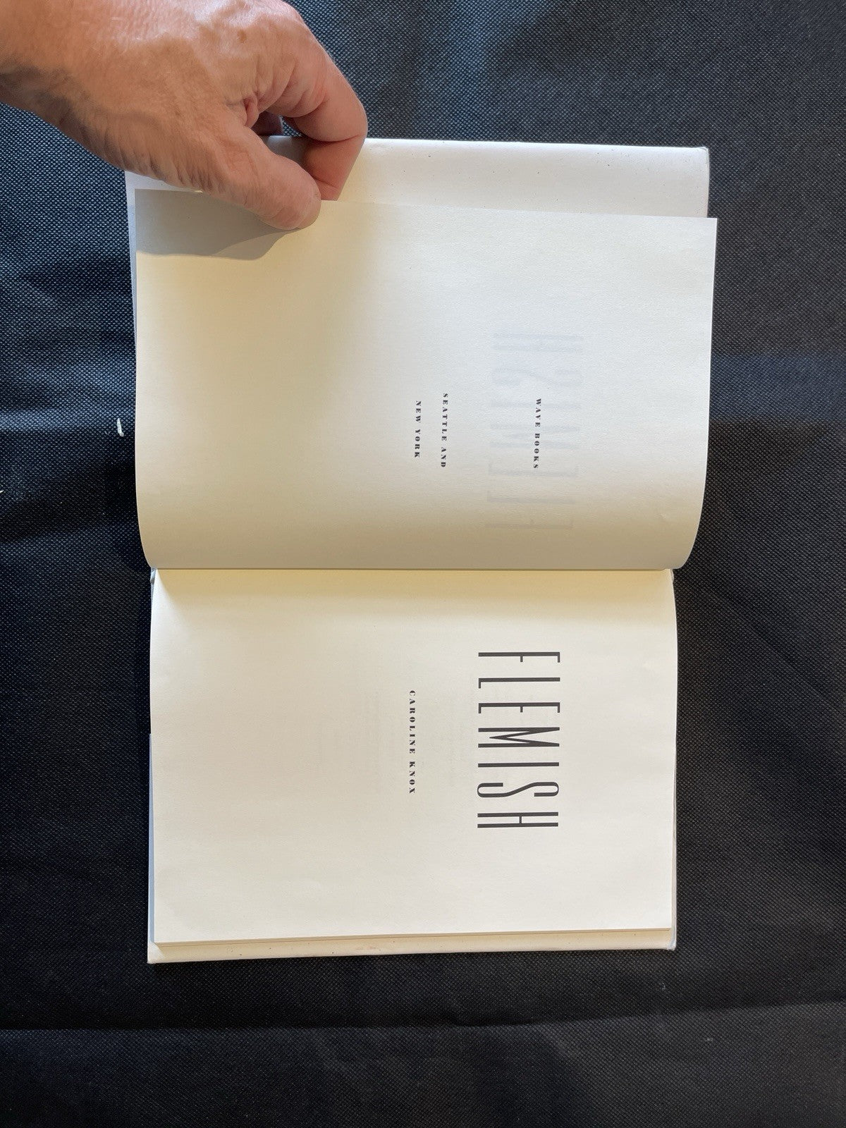 Caroline Knox Flemish Hardcover 2013 1st Ed Wave Books 033 Poetry