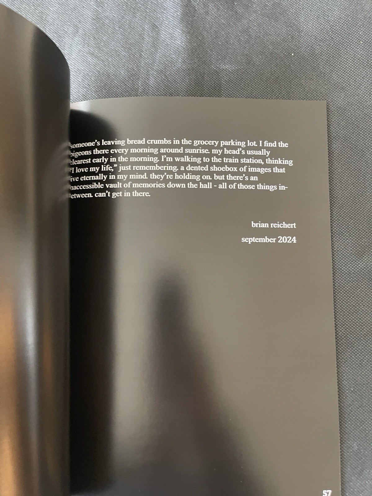 Days Like Sleep: Nyxy Nyx – Ian Maley -Xenia Press, 2024 Indie Photo Rare Ltd Ed