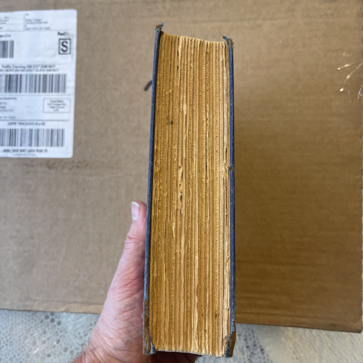 Jarl Hemmer / A Fool of Faith 1st Edition 1935