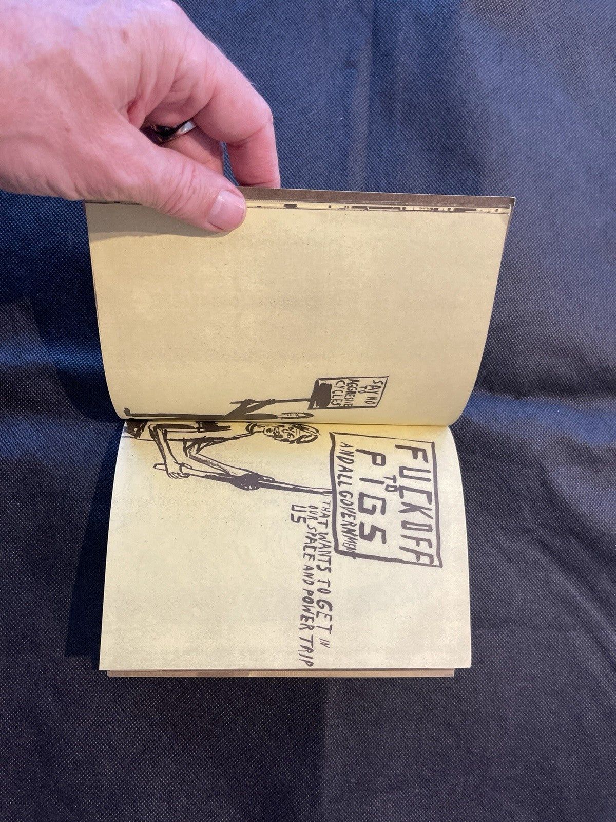Historical Reenactment No. 1 Steve McMurray, illus. Chris Johanson, Ltd