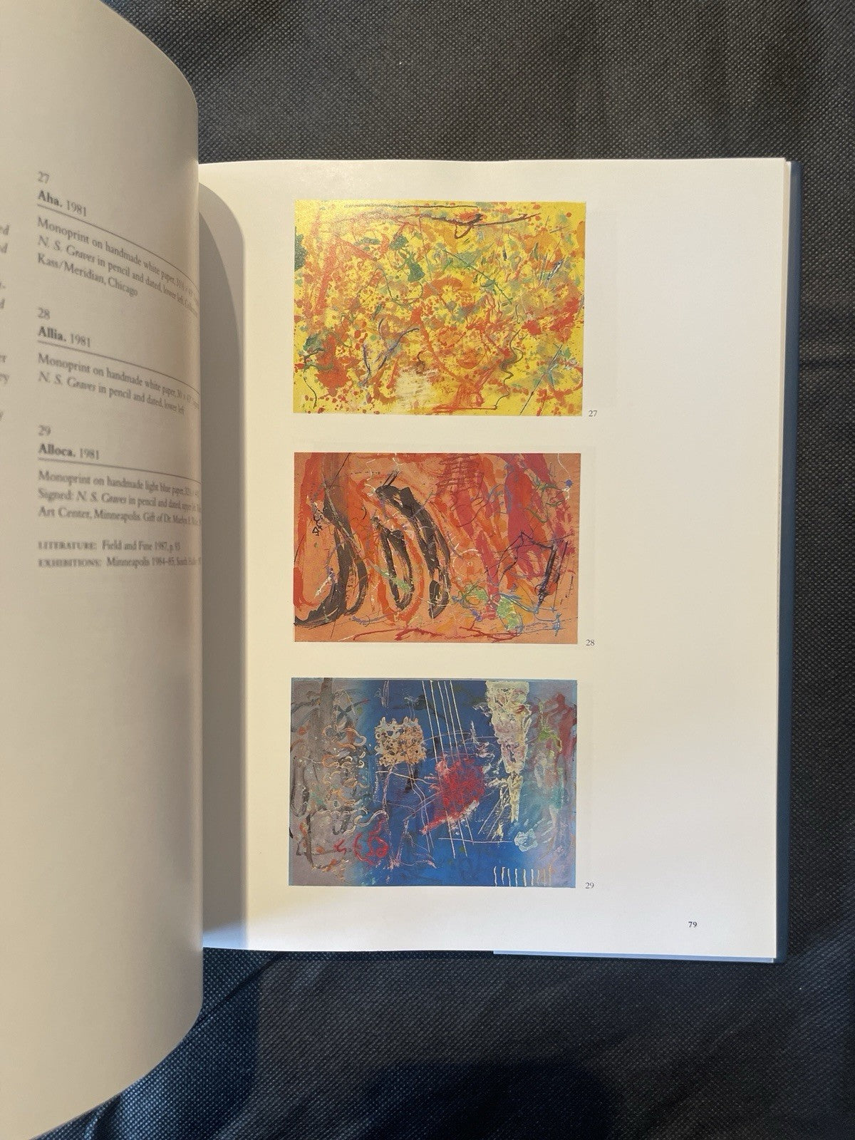 Nancy Graves Excavations in Print 1996 Art Catalog Thomas Padon abstract