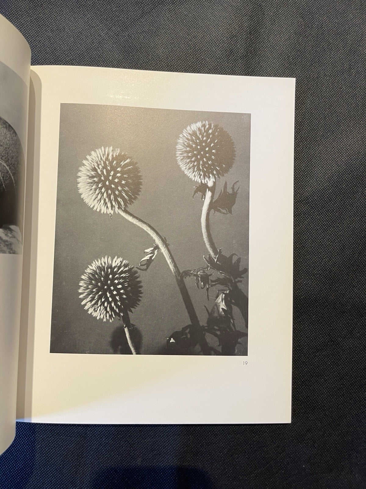 Man Ray – Photographien Paris 1920–1934 | Schirmer/Mosel