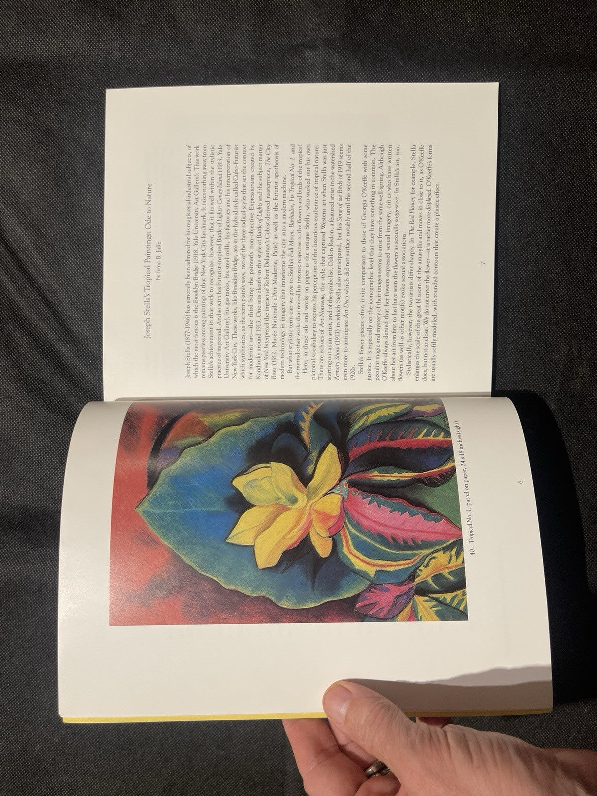 Joseph Stella: The Tropics by Ilene Susan Fort, 1988 PB Illustrated Catalog