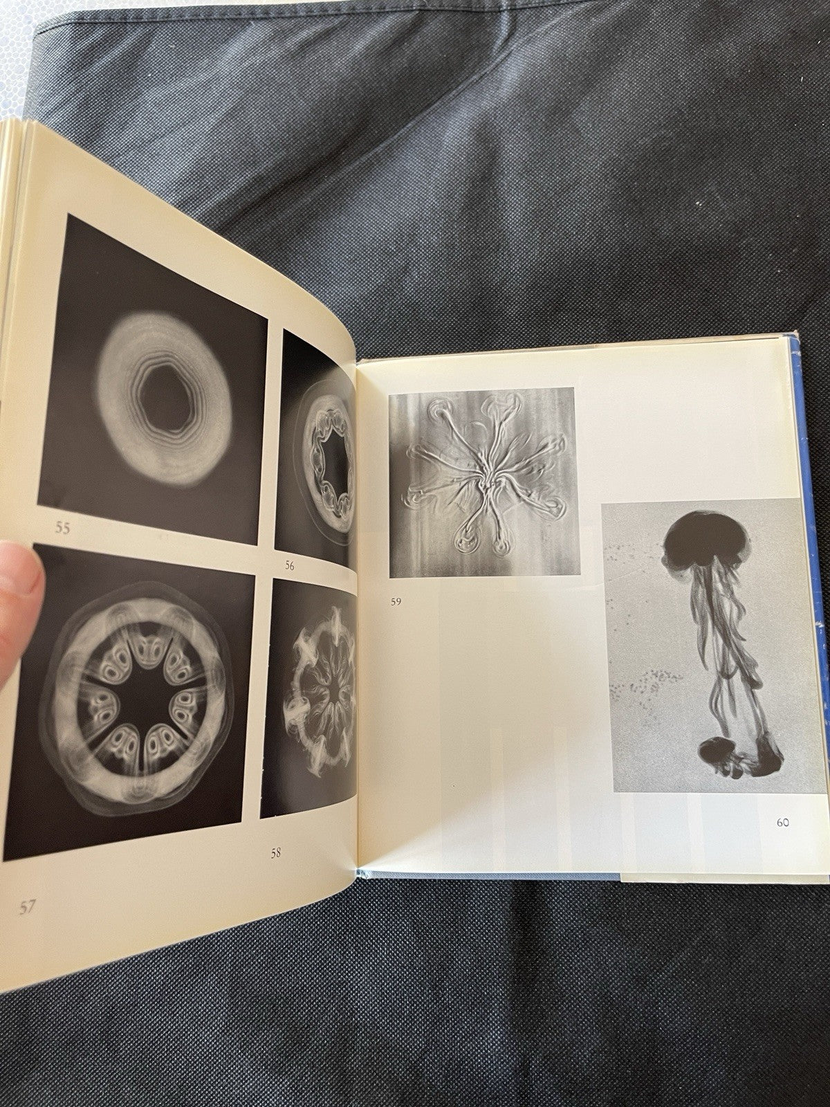 Theodor Schwenk Sensitive Chaos HC Illustrated Signed/Personalized London 1965