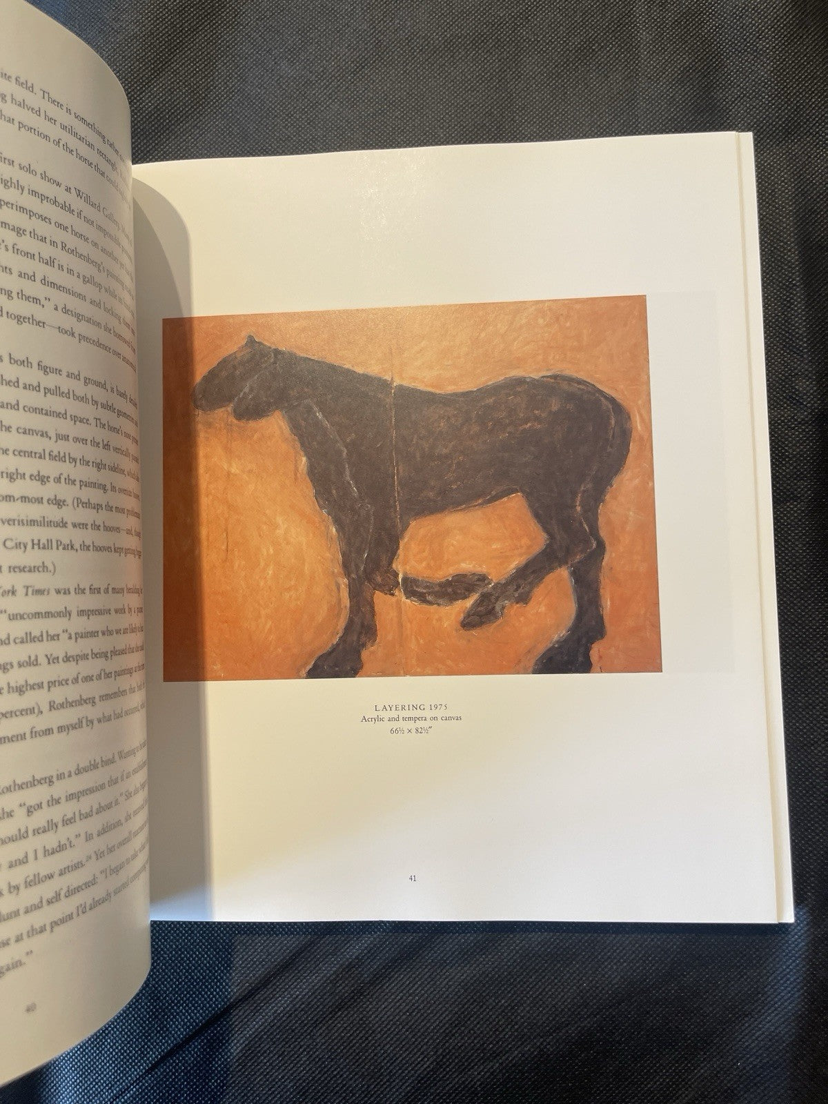 SUSAN ROTHENBERG By Joan Simon *Excellent Condition*