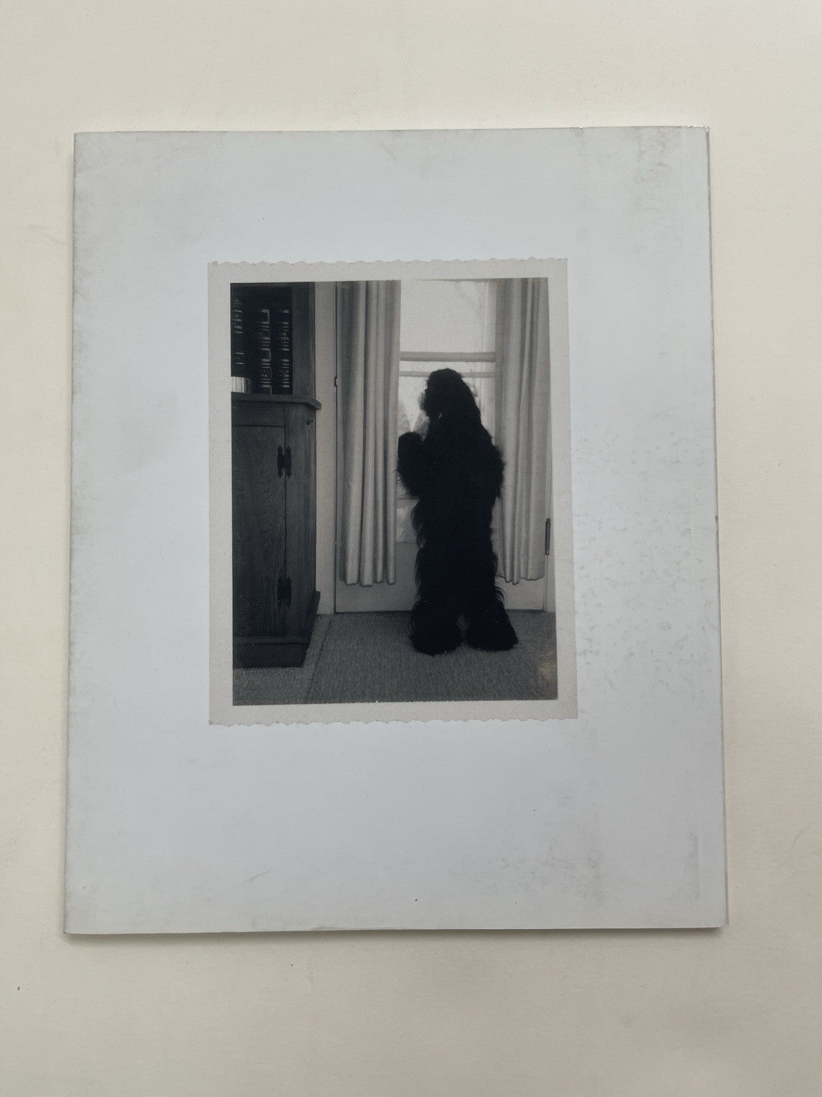 Uncommon Denominator: Nina Katchadourian at the Morgan