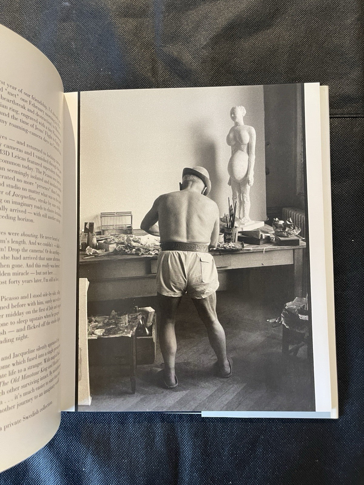Picasso Paints a Portrait by David Douglas Duncan Pablo Picasso HC DJ  Like New