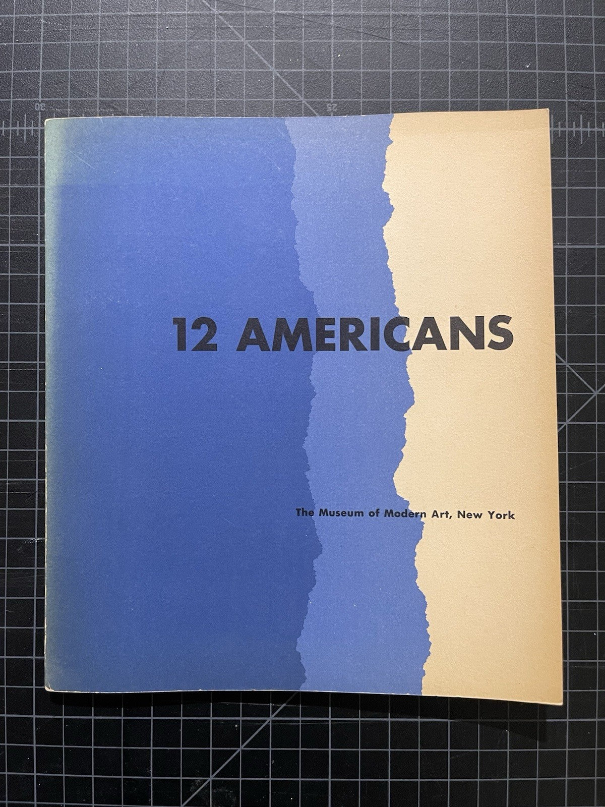 12 Americans by Miller, Dorothy C