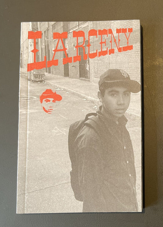 Barry McGee LARCENY book BRAND NEW 2004 TWIST Beautiful Losers