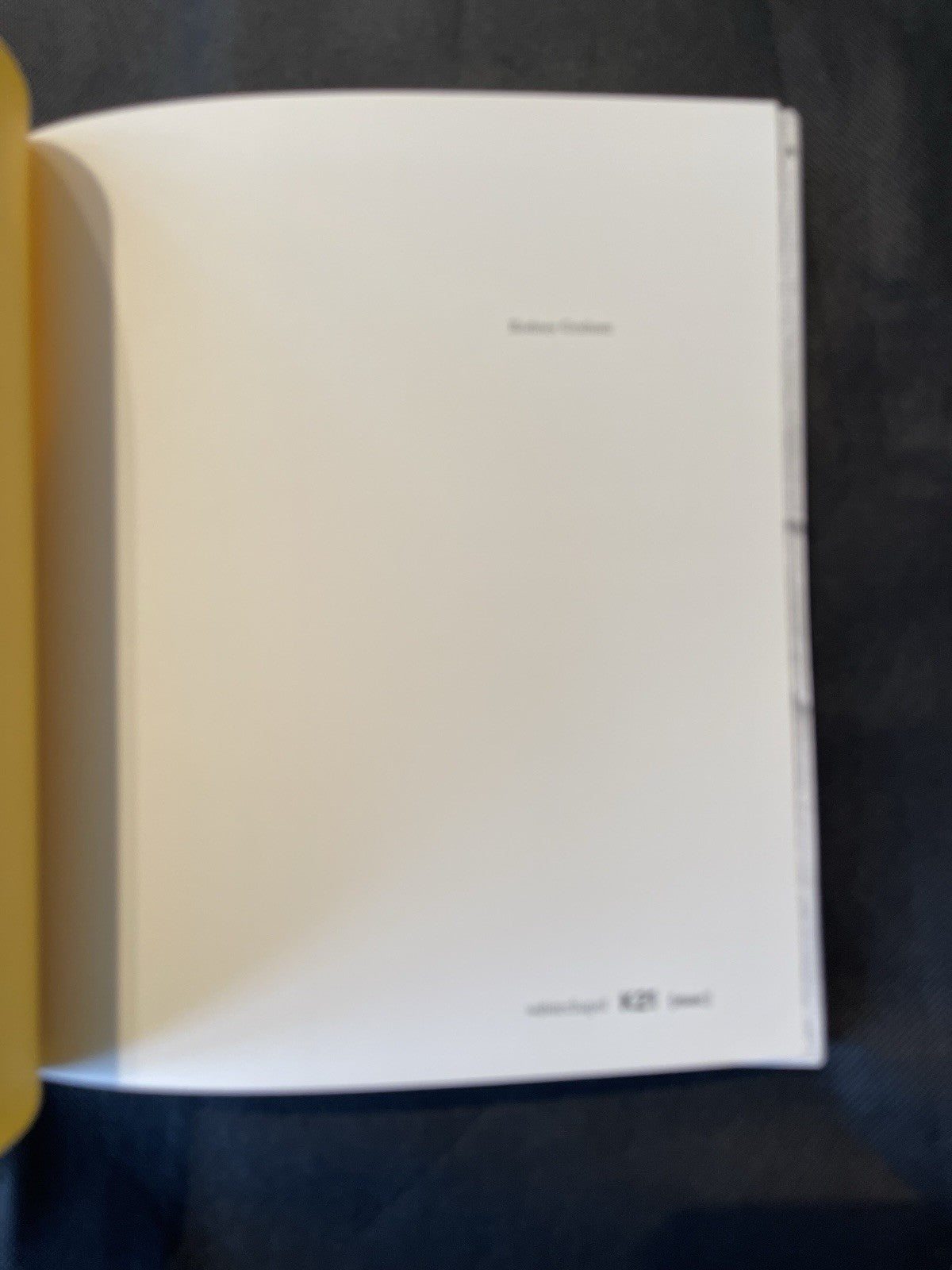 Rodney Graham 2002 Whitechapel Art Gallery First Edition Hardcover