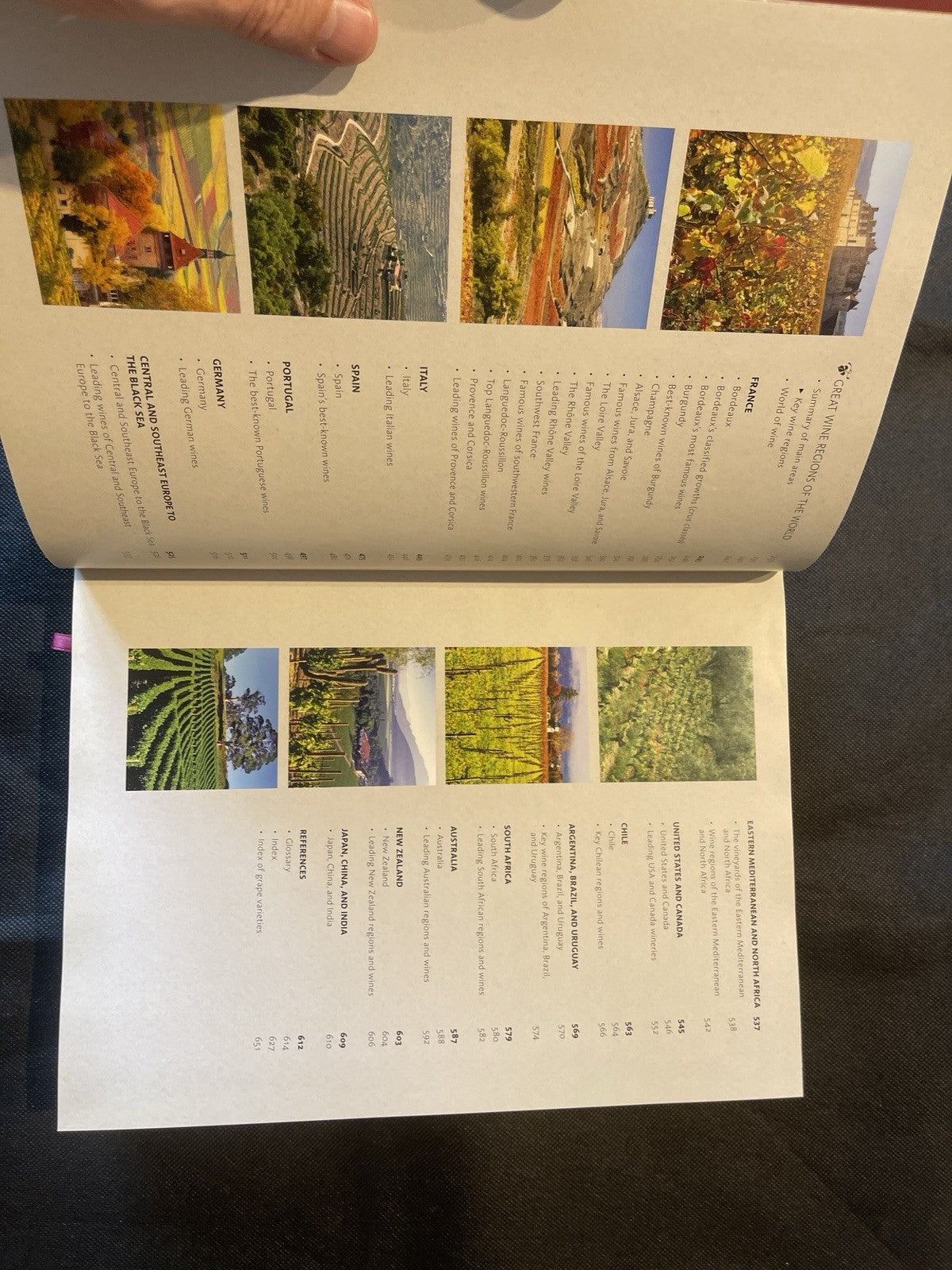 Hamlyn Larousse Wine Hardcover Illustrated by Olivier Poussier 2017