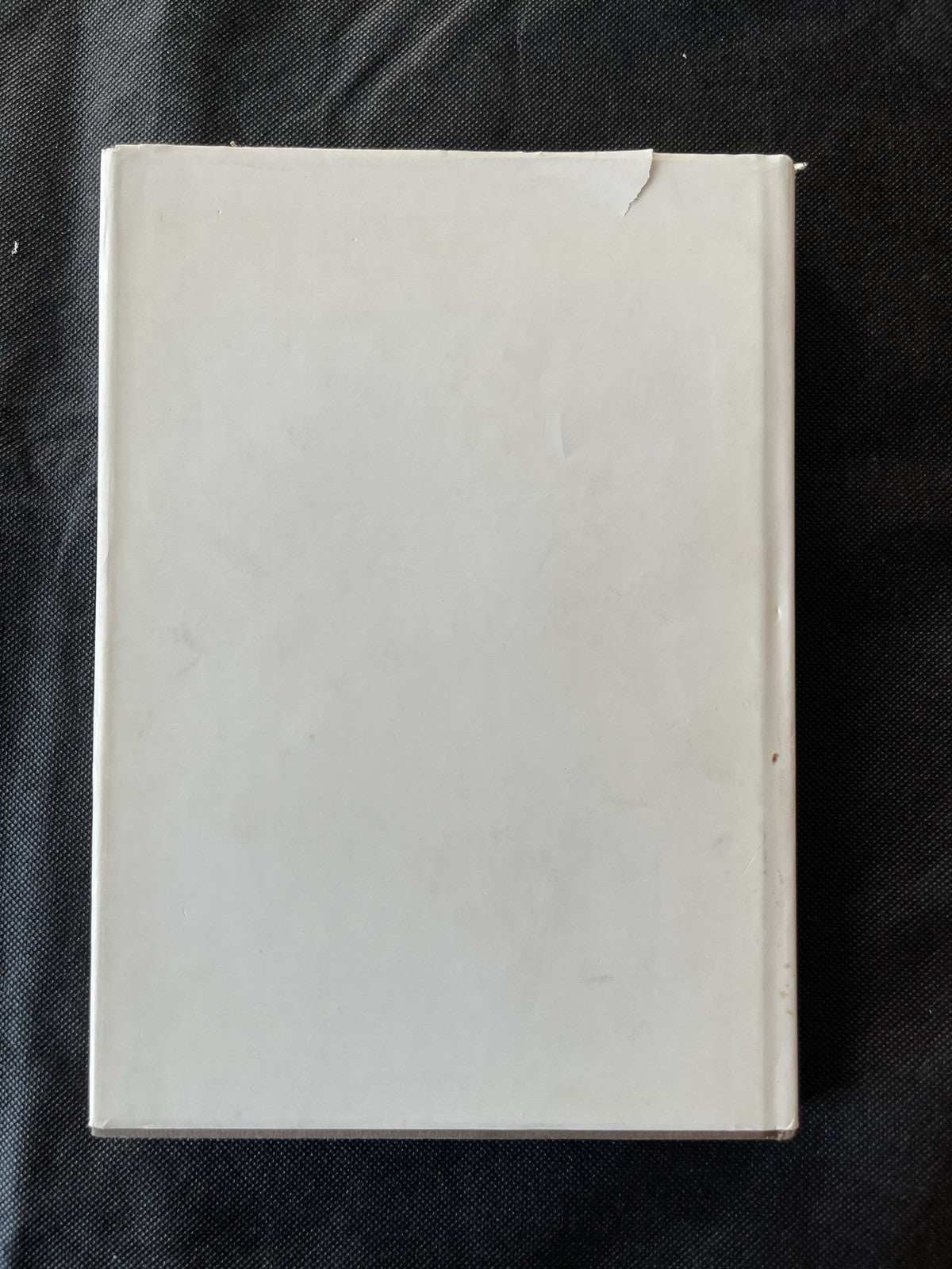1913 Armory Show 50th Anniversary Exhibition 1963 HC/DJ Munson-Williams-Proctor