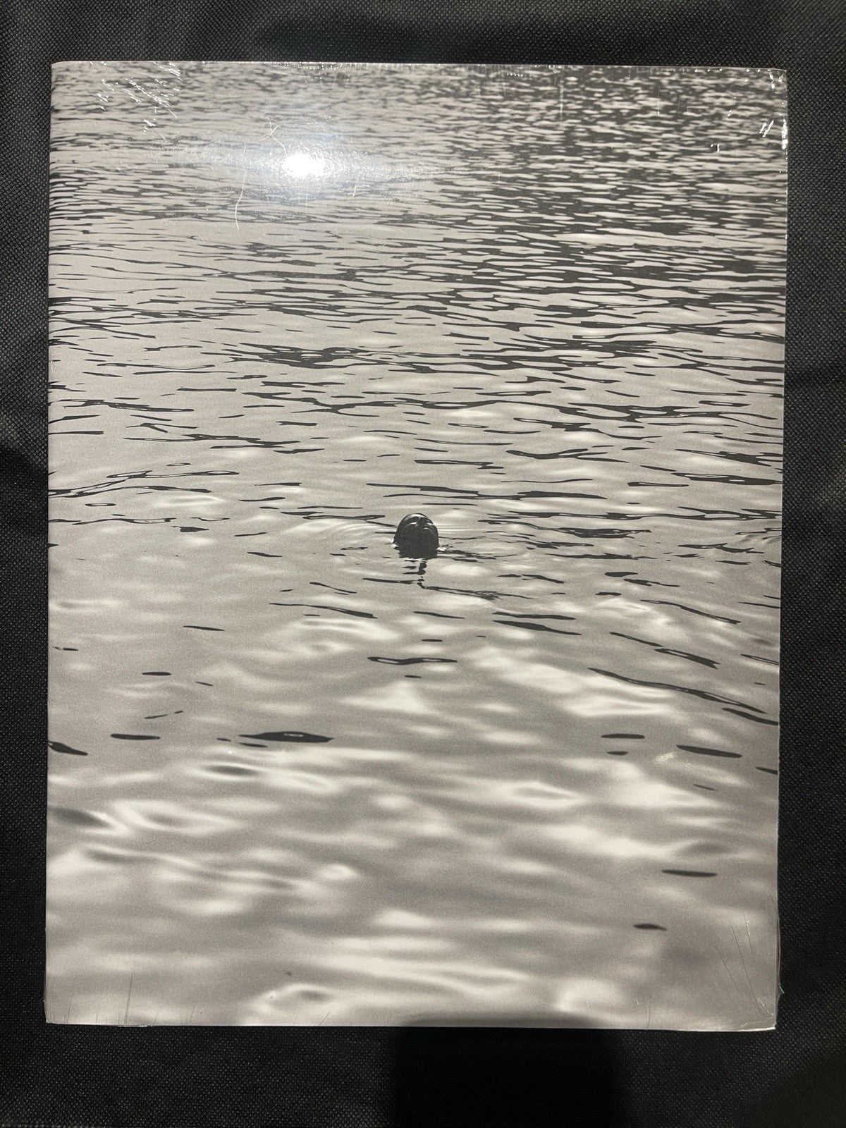 SOFT COPY New York: 2018 Photo Book NEW Shrinkwrapped