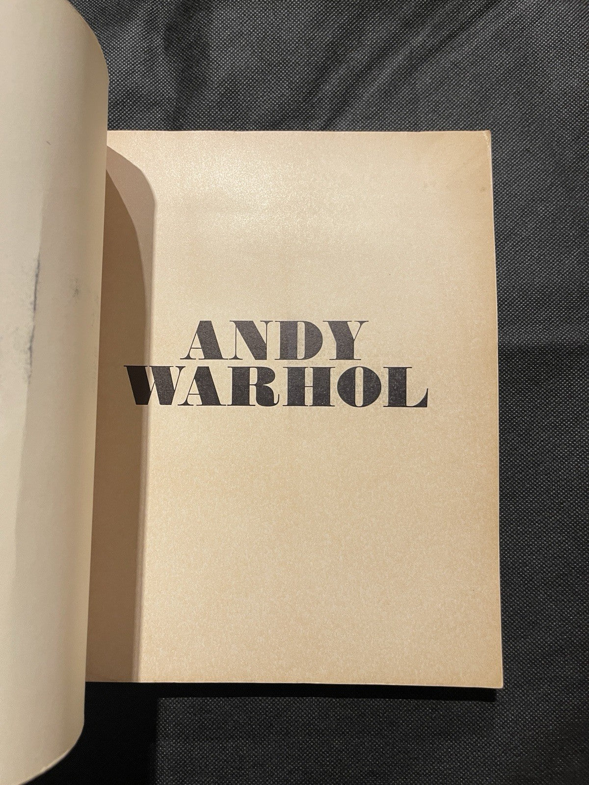 Andy Warhol Andy Warhol HC Illustrated 2nd Edition 1969 Moderna Museet