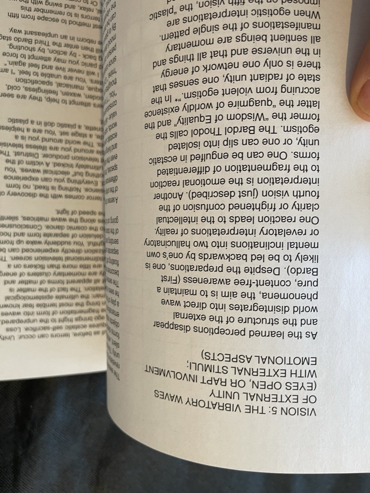 Vision 5: The Vibratory Waves Of External Unity  Lydia McCarthy Ed. 44/100