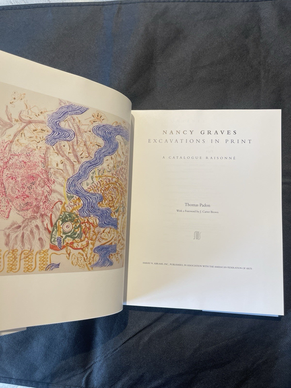 Nancy Graves Excavations in Print 1996 Art Catalog Thomas Padon abstract