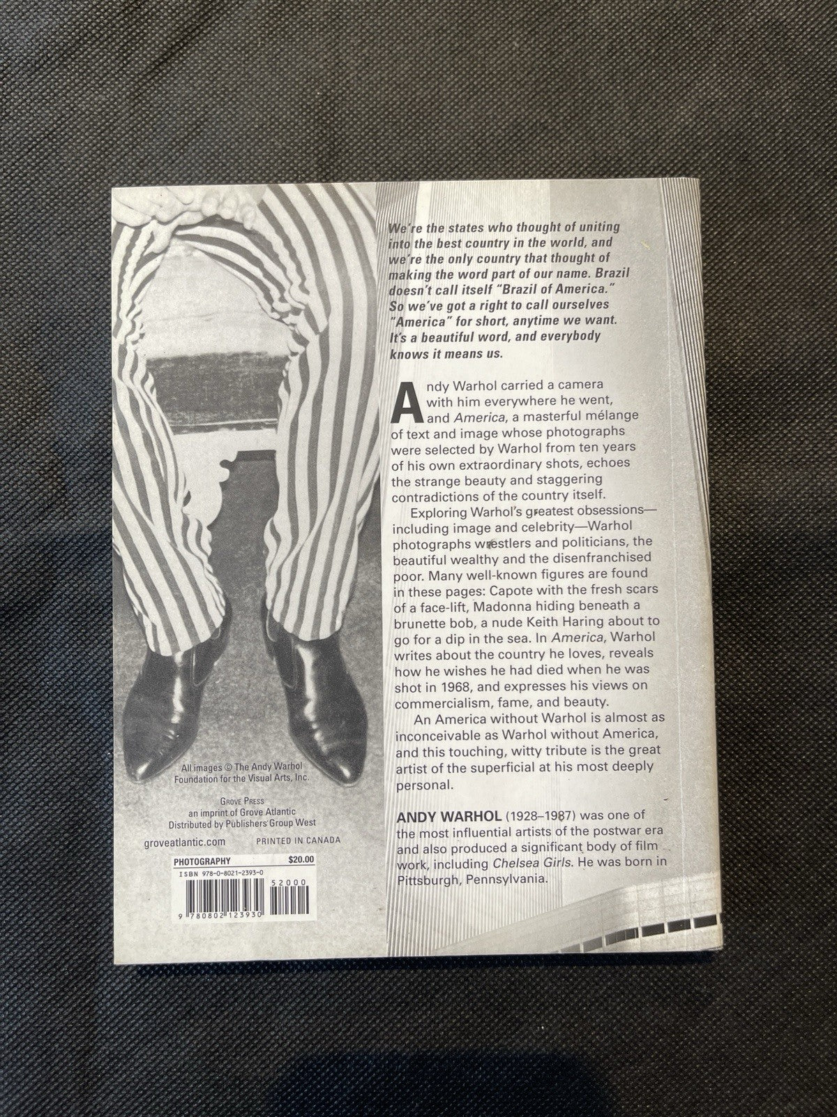 Andy Warhol America Trade Paperback 2015 Illustrated 1st Edition