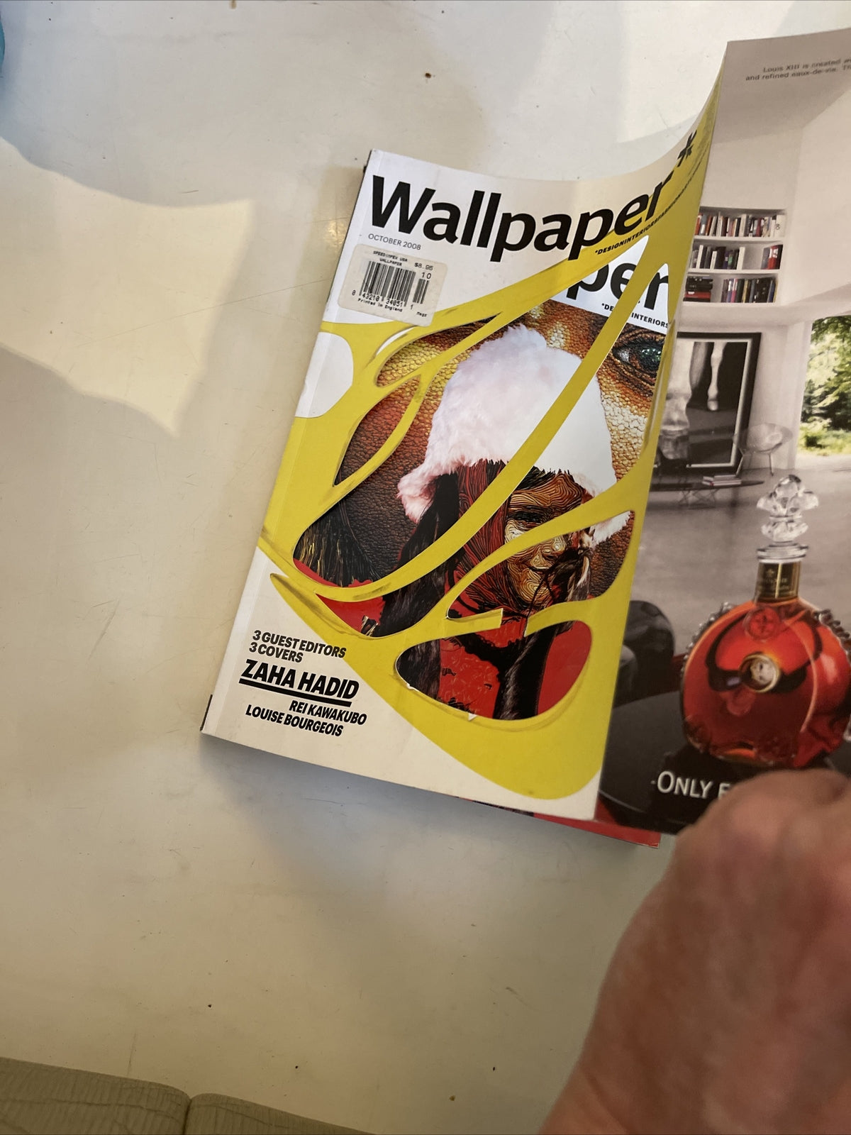 Rei Kawakubo Zaha Hadid Joan Miro Helmut Lang Roni Horn WALLPAPER MAGAZINE Lotus
