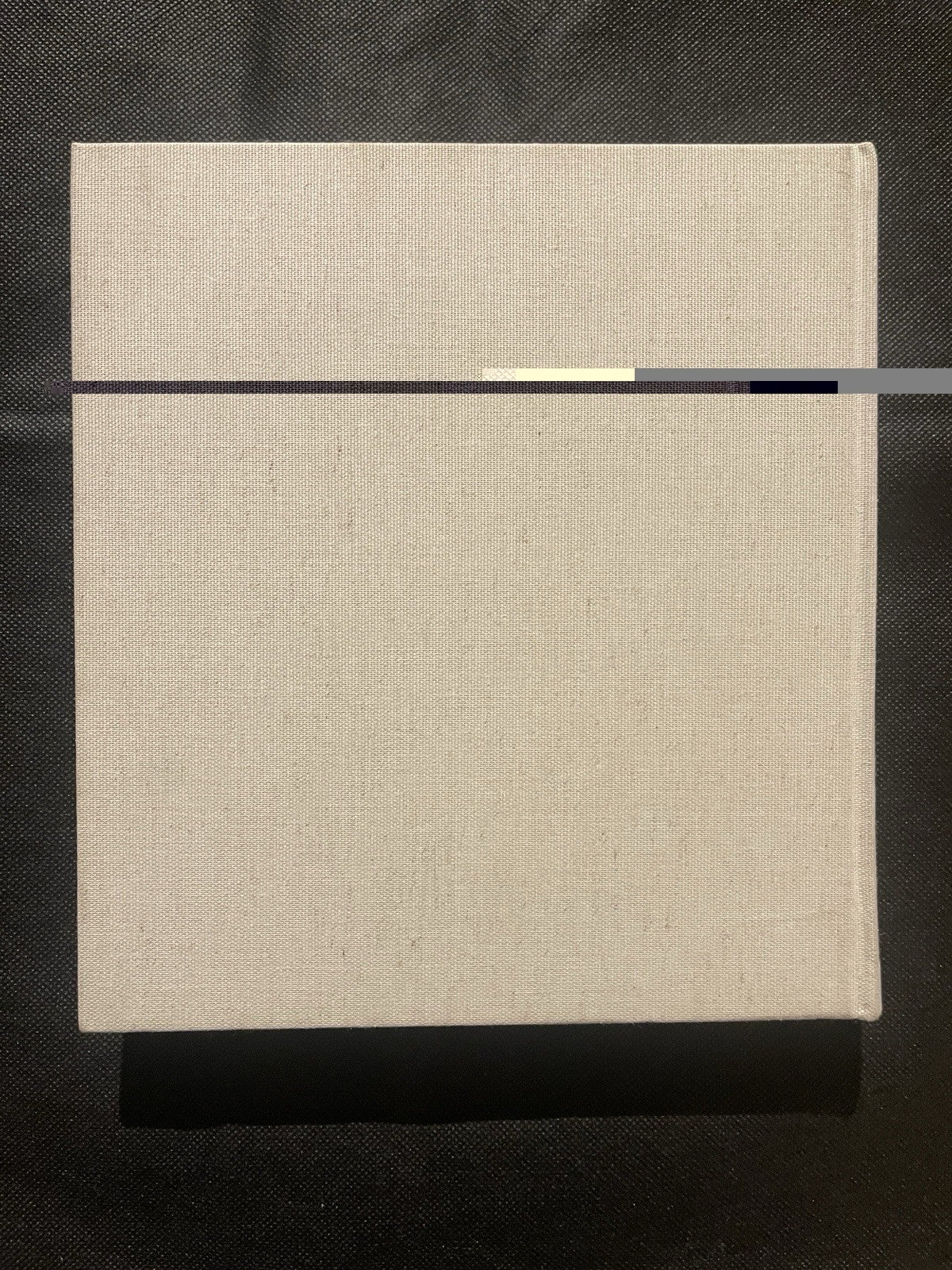 Ralph Eugene Meatyard by Guy Davenport Steidl HC 2004 1st Ed Illus ICP